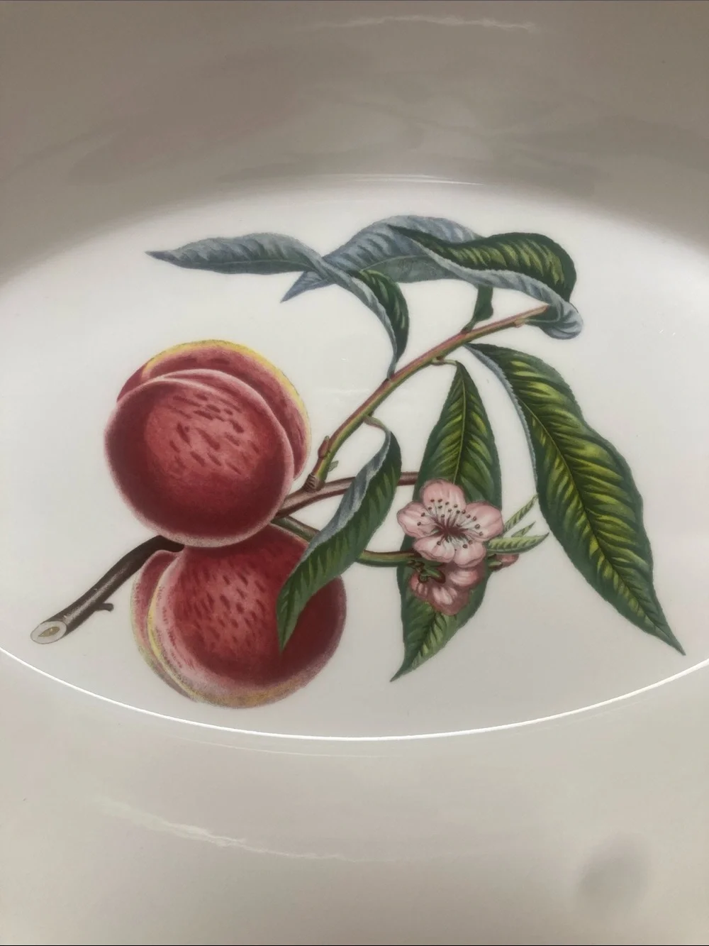 Portmeirion Pomona Deep Oval Baker Grimwood's Royal George Peach 13.5”